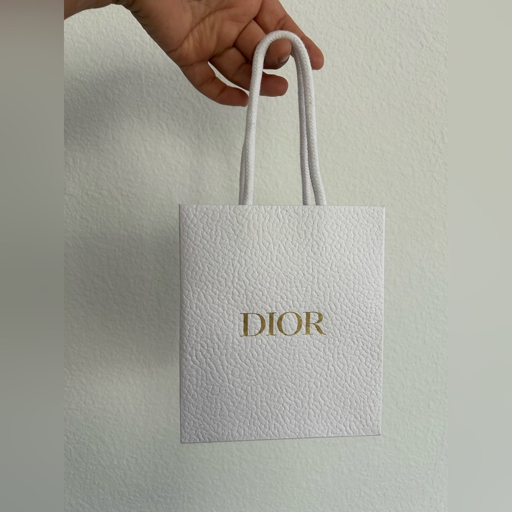 Dior gift bag